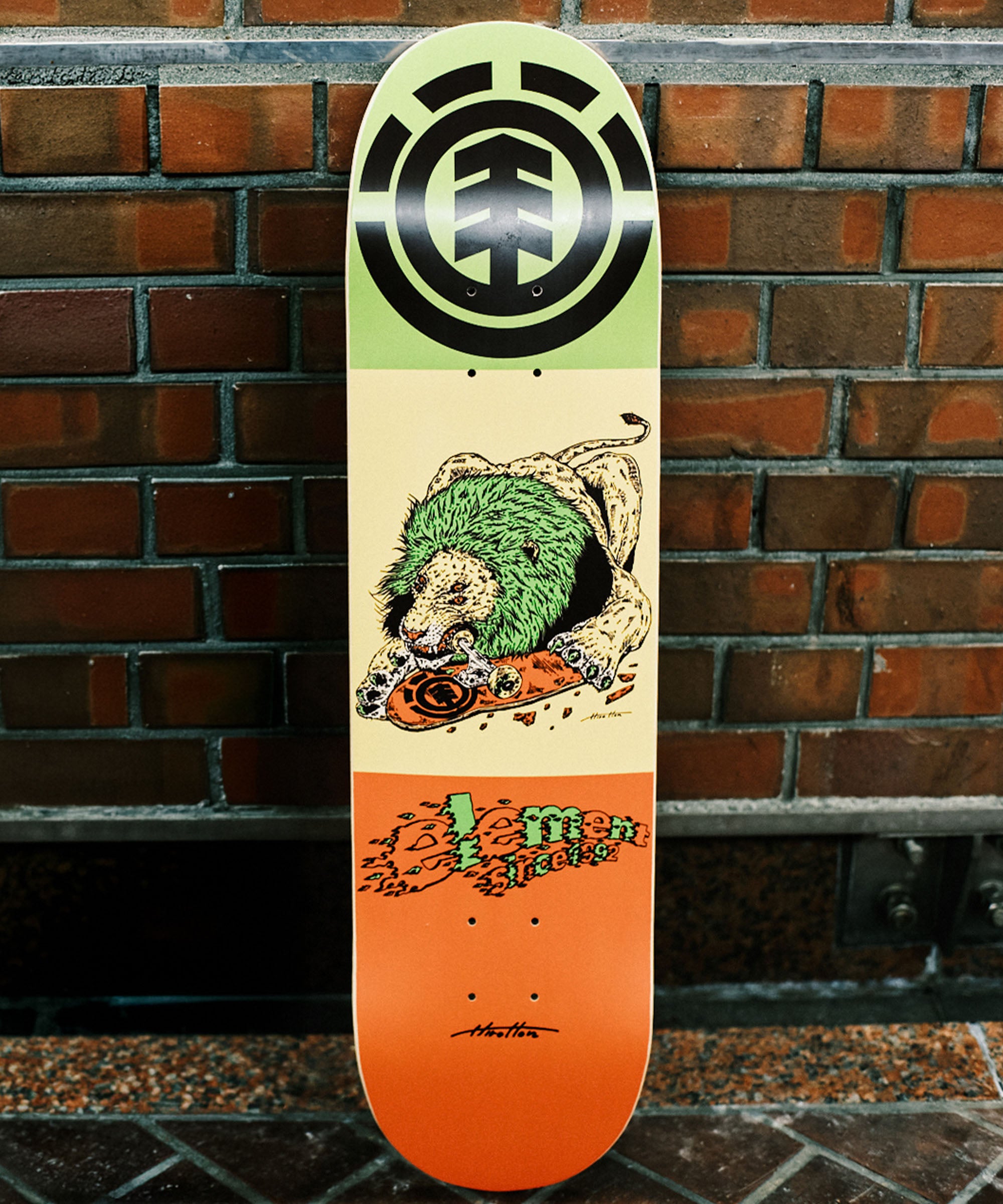 HIROTTON LION の製品画像